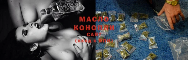 индика Дмитровск
