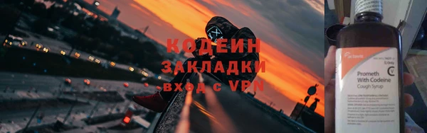индика Дмитровск