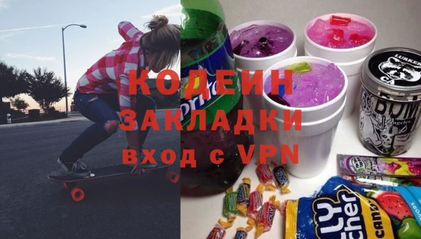 индика Дмитровск