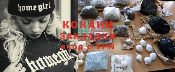 индика Дмитровск