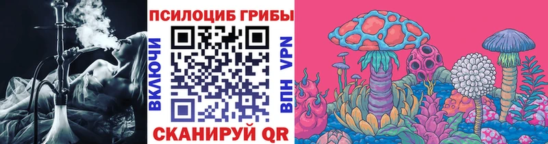 Купить где  Звенигород  Псилоцибиновые грибы Cubensis 